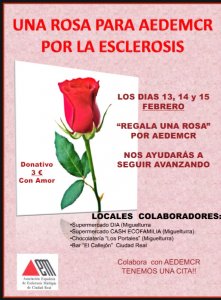 Lee más sobre el artículo Regala una rosa por Aedemcr